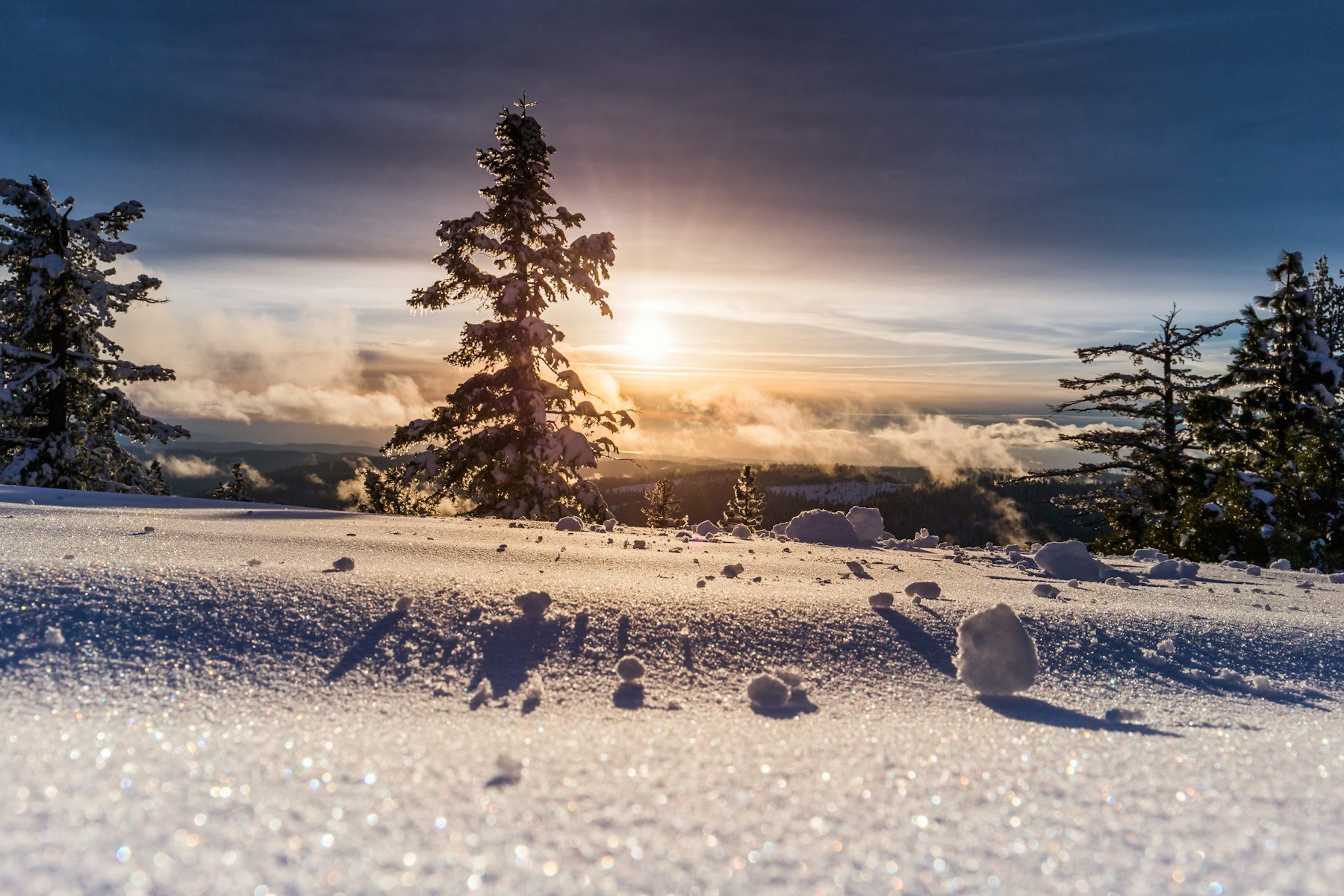 Low sun glittering across undisturbed snow, with dark evergreens along the ridge.